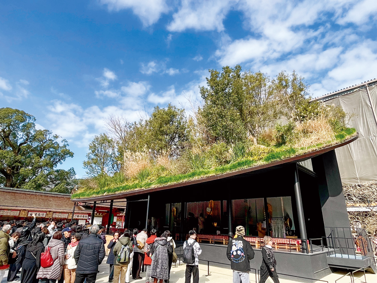 九州太宰府天滿宮臨時拜殿的設計，在屋頂種滿了綠樹植物，模糊了建築與周邊自然環境的界線。（圖片來源：李清志）