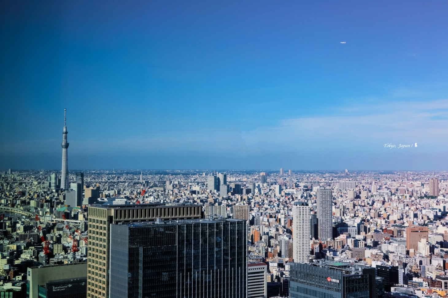 這次入住的房間右邊可眺望東京灣，晴空塔則在最左邊。（圖片來源：陳耀恩提供）