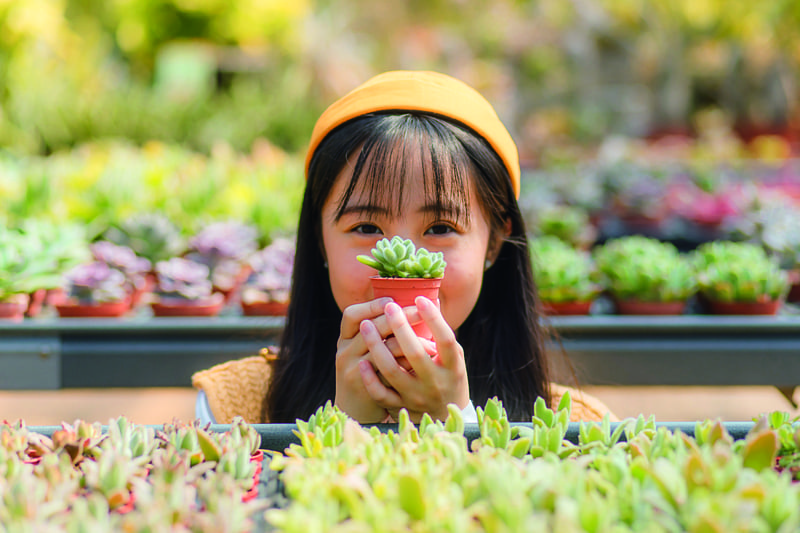 新埔福祥仙人掌蒐集了來自世界各地數萬盆、八千多種多肉植物，就像走入活的仙人掌百科全書。