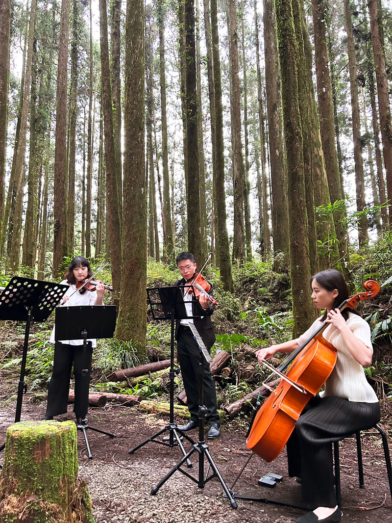 阿里山往奮起湖的路線，特別選在二萬坪的黑森林舉辦小型森林音樂演奏會。（攝影：游琁如）