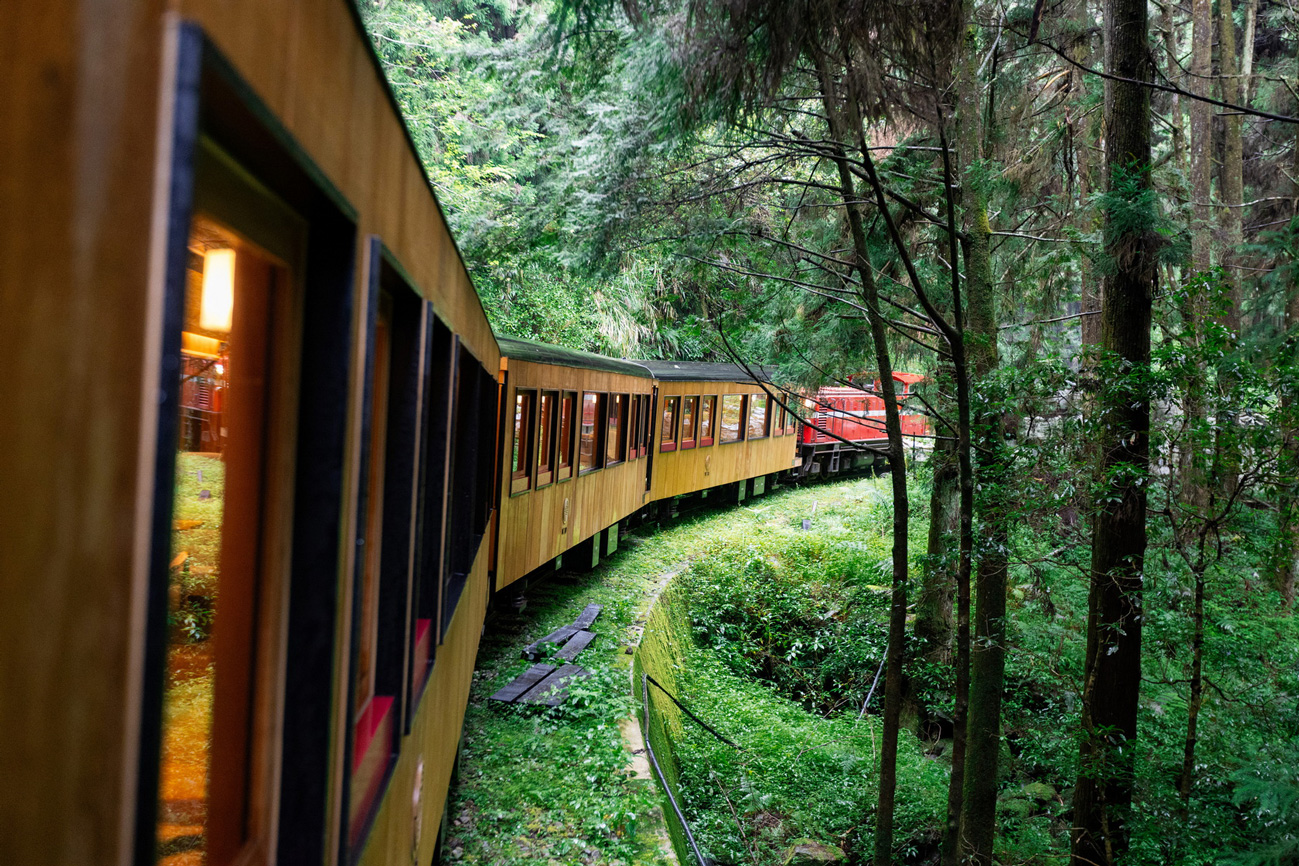 福森號從十字路往祝山站、阿里山的路線，一路都有高海拔的巨木群環繞。（圖片來源：雄獅旅遊提供）