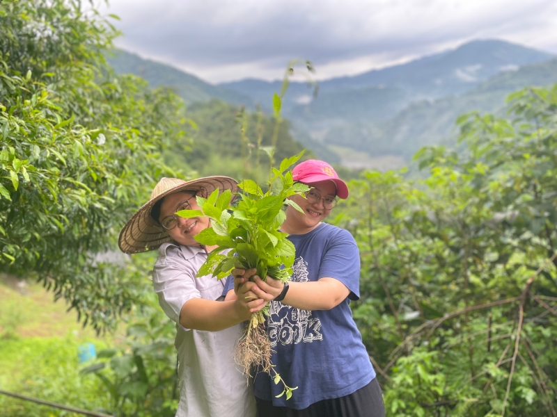 奎輝部落青年陳淑君與其他族人，致力推廣昭和草的料理美味，更研發出獨特的清熱消暑聖品「昭和小草飲」。