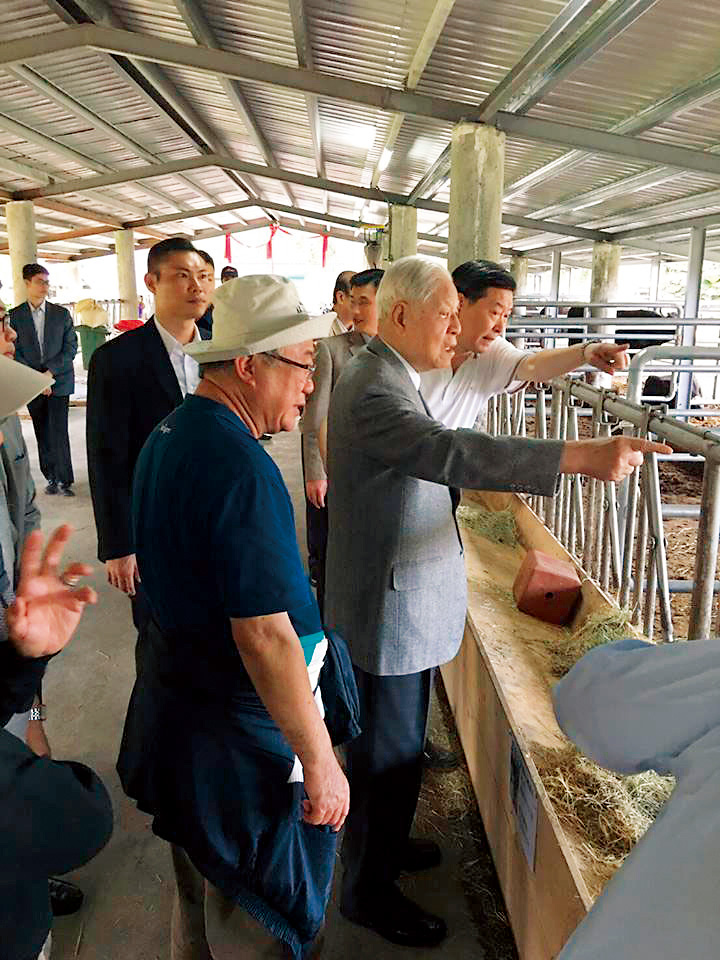 因為愛吃和牛，前總統李登輝乾脆在台灣養，逐步建立肉牛養殖系統。（圖片來源：美福國際股份有限公司提供）