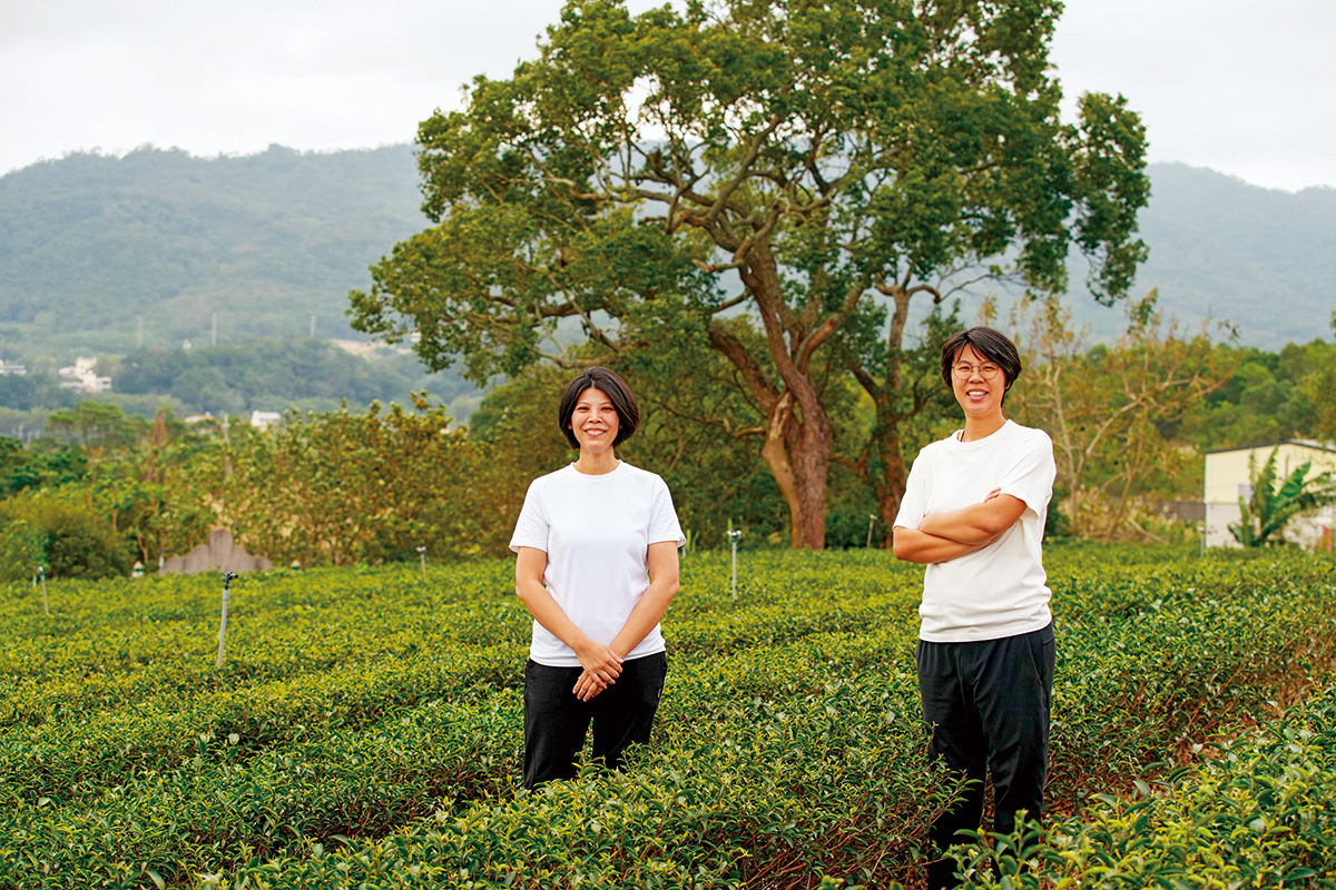 曾郁芳（圖右）、曾莉敏兩姊妹，在苗栗經營茶園，種出的東方美人茶屢獲國際肯定。（圖片來源：曾的茶提供）