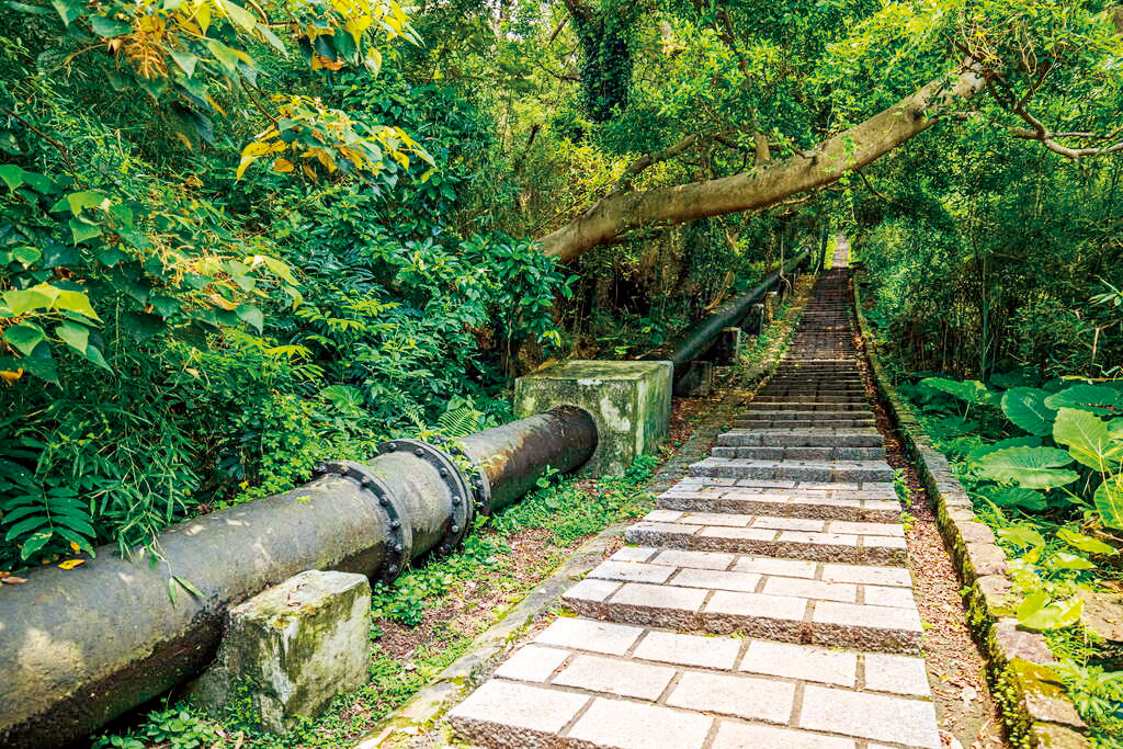 天母水管路是一條風景優美的初階練習路線。（圖片來源：臺北市政府觀光傳播局提供）