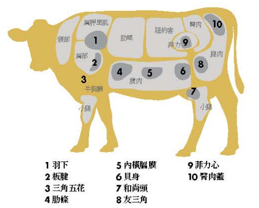 和牛特殊分切部位示意。（圖片來源：美福國際股份有限公司提供）