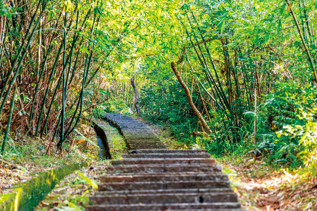 劍潭山縱走是搭捷運就可抵達的越野跑訓練場地。（圖片來源：臺北市政府觀光傳播局提供）