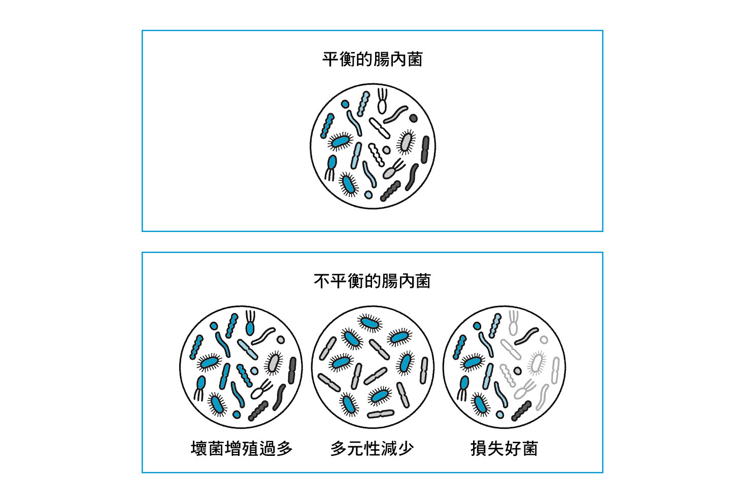 判斷腸內菌健康與否的標準大致分為兩種。即是「好菌與壞菌的平衡」，以及「腸內菌的多元性」。（圖片來源：如何提供）