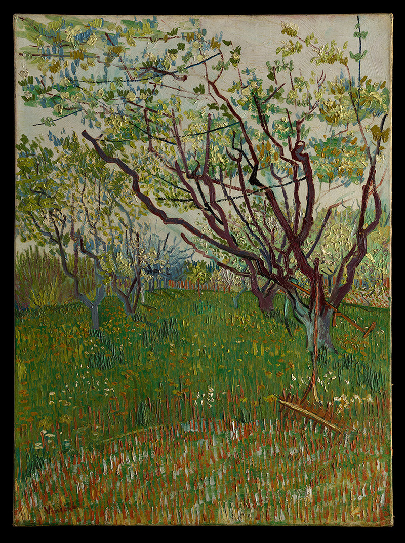 《花朵盛開的果園》文森梵谷，1888。© The Metropolitan Museum of Art_4_Vincent Van Gogh_The Flowering Orchard_imageimage© The Metropolitan Museum of Art（圖片來源：故宮提供）