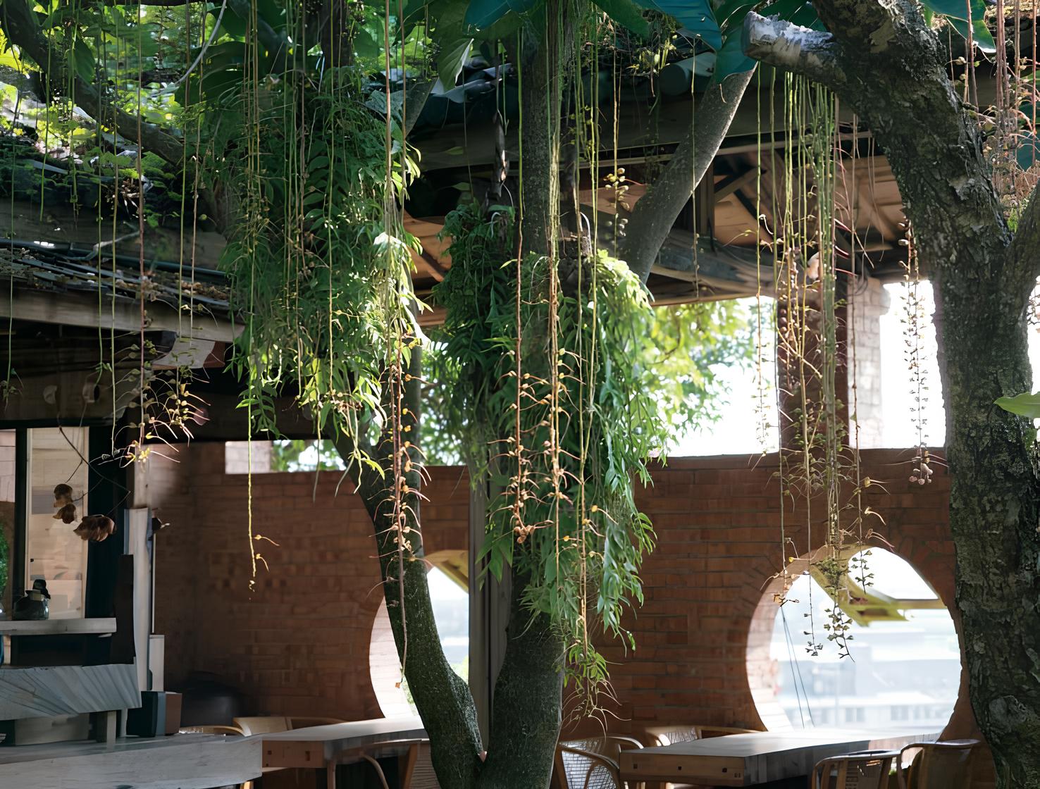 華陶窯內植物面貌廣：原生墾丁海邊的熱帶植物，穗花棋盤腳，在中部的華陶窯竟也神采飛揚。（攝影：楊志雄）