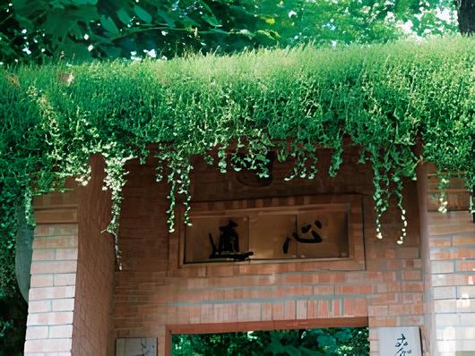 用台語念才知道什麼意思的「心適」（意為趣味）。（攝影：楊志雄）
