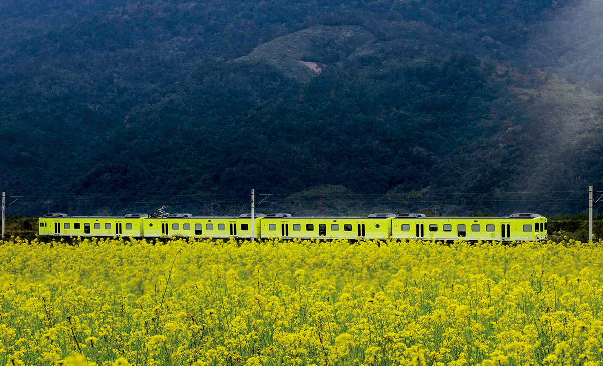 車體以清新黃綠色系為主,靈感來自花東縱谷的自然山巒與平原。(圖片來源:雄獅旅遊提供)