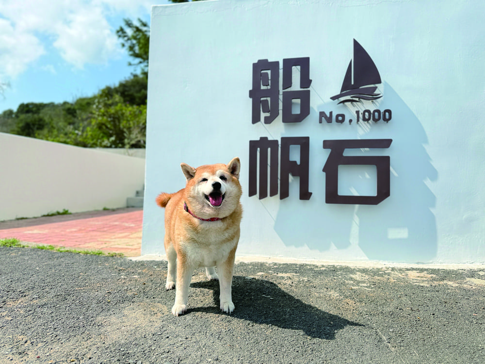 「船帆石No.1000」配合館內寵物友善的政策，也歡迎帶著毛小孩一起在咖啡廳的戶外區，享受墾丁的碧海藍天。