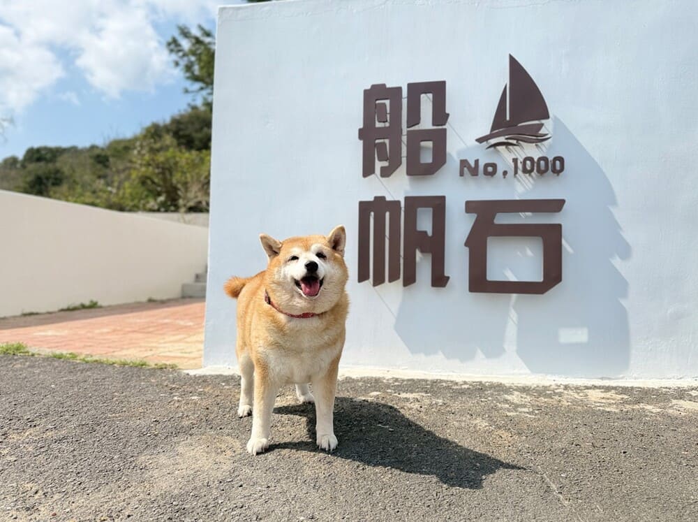 「船帆石No.1000」配合館內寵物友善的政策，也歡迎帶著毛小孩一起在咖啡廳的戶外區，享受墾丁的碧海藍天。