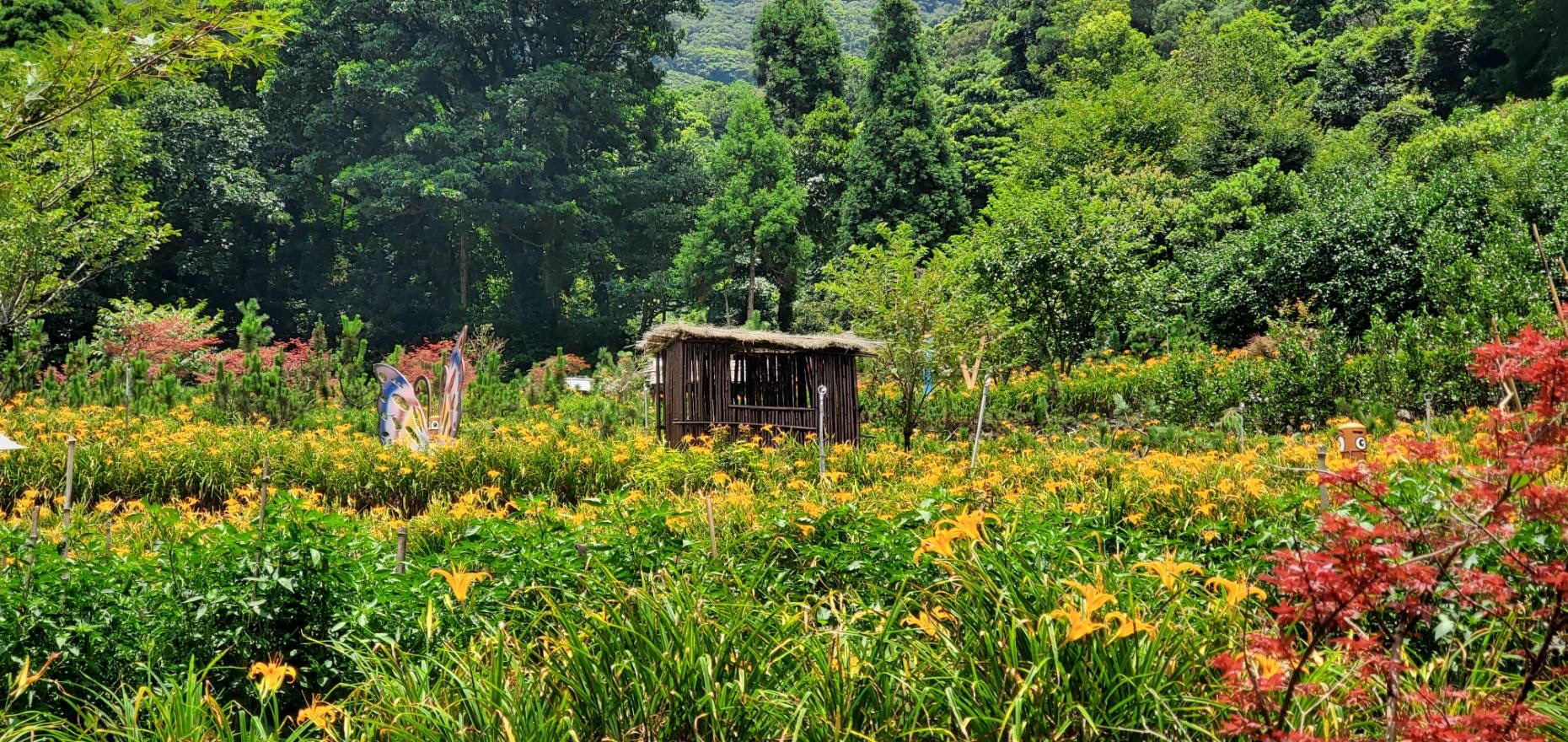 北投晶泉丰旅精心規劃旅客漫步竹子湖,前往故鄉休閒農園,體驗在地友善農園。圖/晶泉丰旅提供