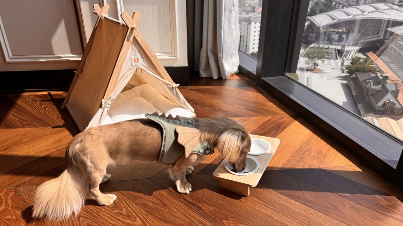 李方艾美酒店特別規劃寵物友善專屬樓層，客房內備有毛孩帳篷與睡墊、玩具與備品，打造安心的入住體驗。