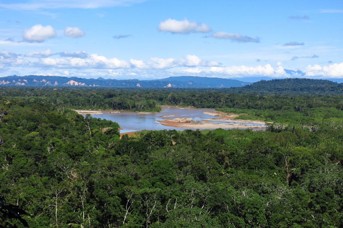 南美洲安地斯山脈東邊的馬迪迪國家公園近兩百萬 公頃的熱帶雨林是 31 個原住民社區的家園。