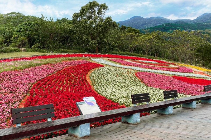 北投三層崎公園擁有獨特的斜坡地形，鋪展出宛如彩色浪濤般層層起伏的壯麗花海景致，更有「台版富良野」之稱的美譽。(圖/北投麗禧提供)