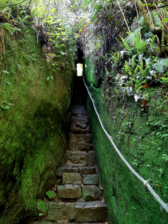 竹東-金龜岩猴洞步道-一線天