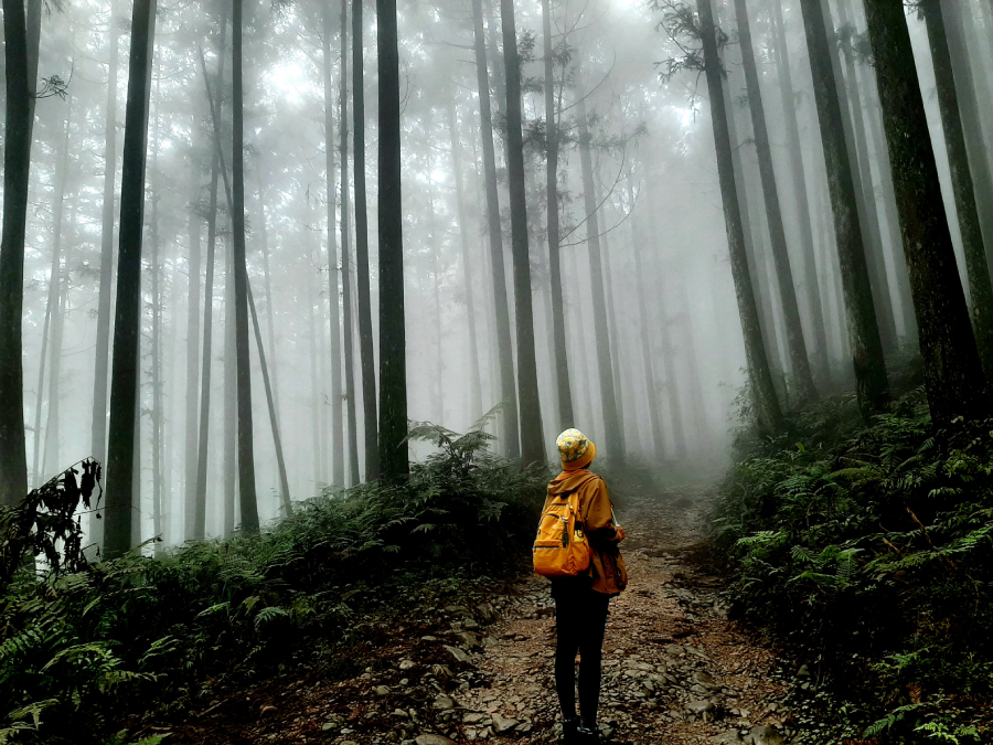 五峰-鵝公髻山步道