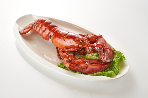 超美味波士頓龍蝦三吃料理 宅在家更要吃的有儀式感！